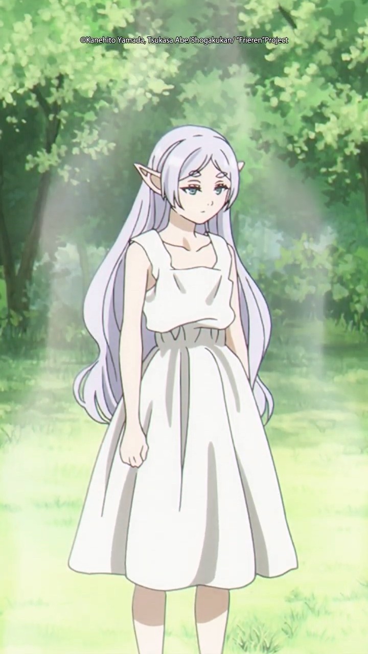 Demons have nothing on Frieren ?? #frieren #frierenbeyondjourneysend #anime #fern #animemoments